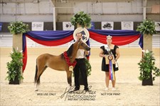 Melania 2026 Congress Grand Champion MP Mare