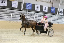 Ella in Youth MP driving