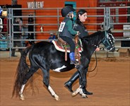 Unrivaled (full term Pg) ridden by Aodhan at Daffodil Dandy Show April 2021