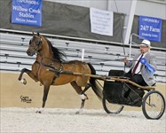 Reward 2019 Congress Modern Formal Driving Limit Champion